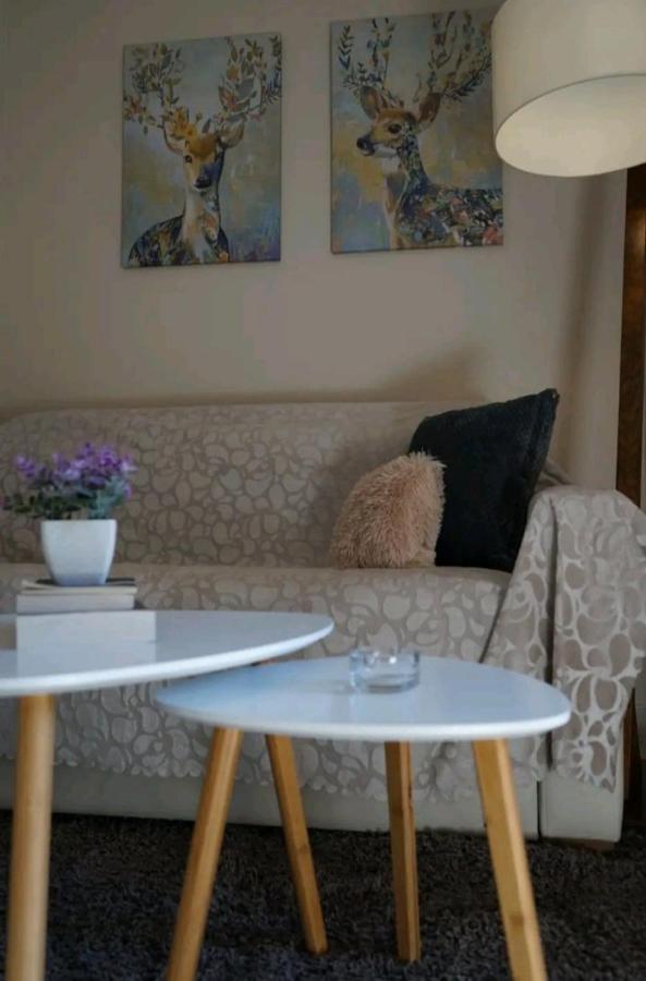 Apartment Havenly Loft *